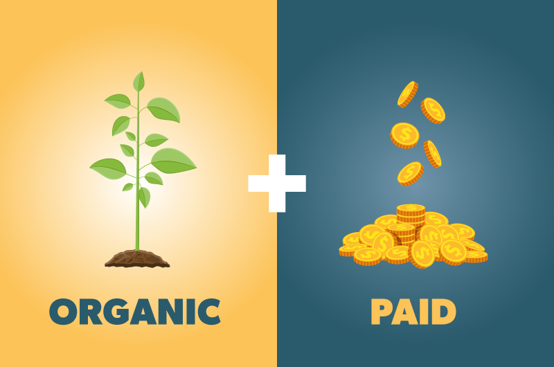 Tips for Balancing Paid & Organic Promotion